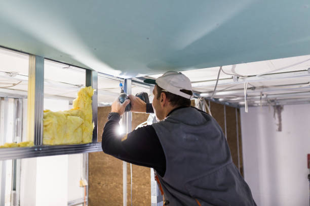Best Commercial Insulation in St Joseph, MO